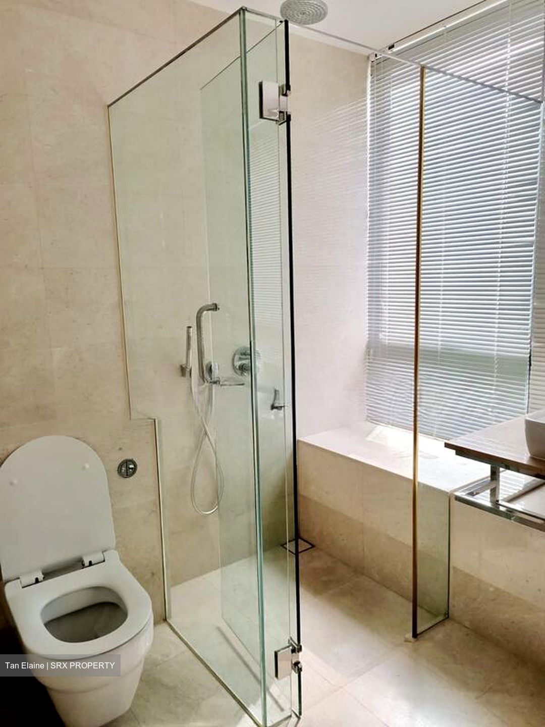 Trilight (D11), Condominium #503192331